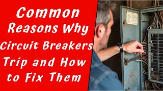 Common Reasons Why Breakers Trip and How to Fix Them [upl. by Charline352]