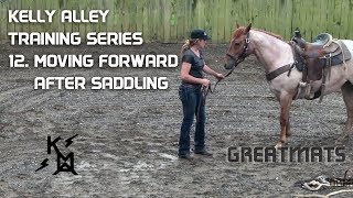 How To Move Your Colt Forward After Saddling  Horse Training Series 12 [upl. by Ganley]