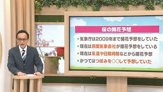 桜の開花予想 かつては”つぼみ”を〇〇して予想していた！？｜マコトの天気ショウ（2024年4月3日放送） [upl. by Worth]