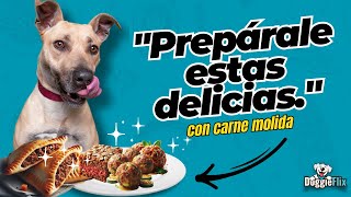 Carne Molida Transforma la en recetas Gourmet para tu Perro [upl. by Ear]