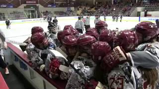 Hamline at Norwich 2018 NCAA Division III Womens Hockey Semifinal Highlights [upl. by Matthus336]