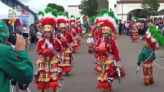 Danza de mujeres Matachines a la Guadalupana [upl. by Thanos59]