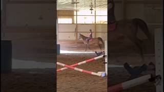 Deja’s Slow Mo Canter💋🎀😍 equestrain horseriding horse [upl. by Elocim]