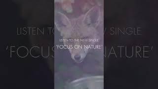 The Bevis Frond new album ‘Focus on Nature’ out 1 March 2024 preorder  listen to the first single [upl. by Nosnevets]