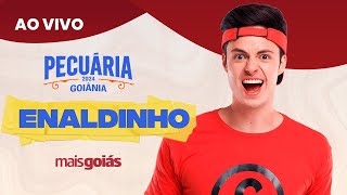 Pecuária de Goiânia 2024  Enaldinho AO VIVO [upl. by Lilah337]