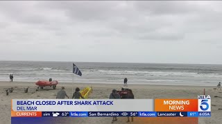 Swimmer attacked by shark at SoCal beach [upl. by Adaminah76]