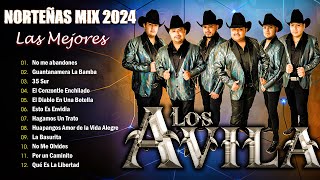 Los Avila 2024  Los Avila Exitos Mix Para Pistear  Las Mejores Cumbias Norteñas Mix 2024 [upl. by Danna665]