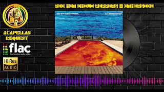 Red Hot Chili Peppers  Otherside High Quality Audio HQ FLAC [upl. by Uke]