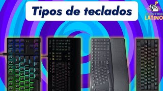 Tipos de TECLADOS y donde ENCONTRARLOS [upl. by Eelegna]