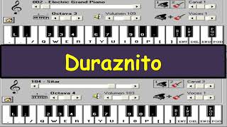 Duraznito  Pibes Chorros  Piano Electrónico 25 [upl. by Jp]