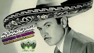 Antonio Aguilar  Copitas de mezcal  Versión Merengue Mambo  ALB3RTO MAST3R [upl. by Hurty18]