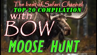 Epic 40Minute Moose Hunt Compilation – Safari Channel’s Best [upl. by Pilihp]