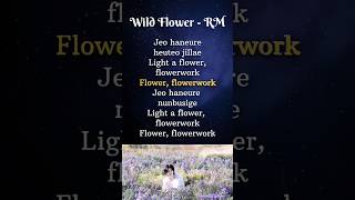 BTS RM wild flower song lyrics🌺🌺💜bts wildflower indigoalbum rm [upl. by Leiruh]