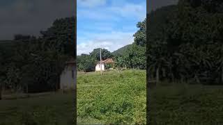 Fazenda de 240 alqueires em Goiás80 mil por alqueire [upl. by Shamus]