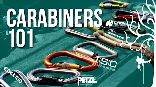 Which Carabiner is best Choosing the right one for every situation Beginner to Expert Guide [upl. by Sirtimed170]