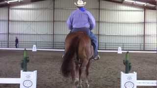 Cowboy Dressage Walk Jog Test  1 John Moe [upl. by Athena]