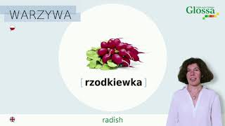 Warzywa  Vegetables  Polish for beginners [upl. by Bej]