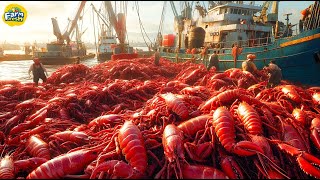 Thousands Of Tons Of Shrimp Are Farmed And Harvested By Americans To Earn Billions Of Dollars [upl. by Larkins]