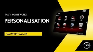 Navi 900 IntelliLink  Personalisation  Thats How It Works [upl. by Anesusa]