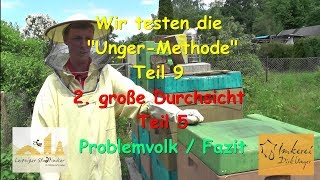 Wir testen die quotUngerMethodequot Teil 9  2 Große Durchsicht Teil 5 Problemvolk  Fazit [upl. by Eniad]