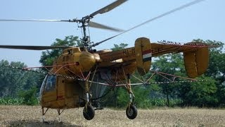 Kamov Ka26 archive video suflower spraying near Ács Hungary [upl. by Naitsirk928]