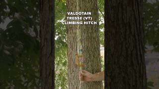 Valdotain tresse knot tutorial treework treecare treeservice shorts [upl. by Enyledam61]