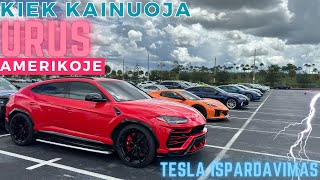 Kiek kainuoja Lambo URUS JAV TESLU Ispardavimas Floridoje [upl. by Aonian]