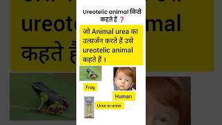 Ureotelic animal । यूरियोटेलिक जानवर। urine 🤔 shorts ytshots trendingshorts interestingfacts [upl. by Bastien]