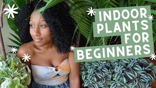 How To Be a Plant Mama 🌿  Indoor Plants for Beginners [upl. by Hagi]