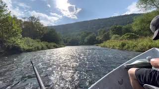 Fly Fishing the Catskill Mountains [upl. by Arted]