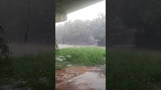 🌧️ varsham aching chali pettings  shorts trending viralvideos rain shortvideos [upl. by Peltier]