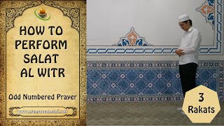 How to perform The Three Rakat Salat alWitr Odd Numbered Prayer [upl. by Kumler80]