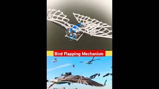 👉 Bird Flapping Mechanism cad birds mechanism flapping robotics engineering [upl. by Tik]