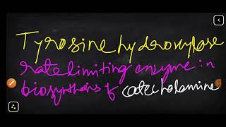 TYROSINE HYDROXYLASE rate limiting enzyme in synthesis of catecholamines [upl. by Hankins]