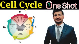 Cell cycle chapter 19 Fsc biology class 12 in one shot [upl. by Aicinod463]