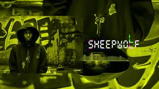 SHEEPWOLF INSTRUMENTAL prod by BID [upl. by Heyes175]