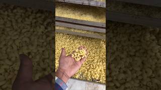 Pasta Kaise banta hai making shortvideo [upl. by Syned]