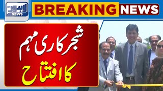 Inauguration Of Plantation Drive  Lahore News HD [upl. by Babcock]