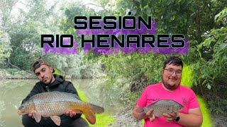 SESIÓN RIO HENARES  CARPAS ESPECIAL  CARPFISHING  2024 [upl. by Eenad]