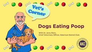 Dogs Eating Poop  Vets Corner with Dr Jerry Klein [upl. by Christiansen]