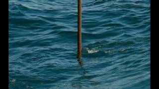 FOTOS DEL DESASTRE EN EL GOLFO DE MEXICO [upl. by Ngo320]