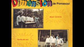 PASACALLE Grupo Dimensión de Ecuador  Anita de mi Ilusión 1983 [upl. by Niko]