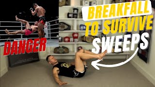 Why You Need To LEARN TO BREAKFALL For Muay Thai [upl. by Dj]