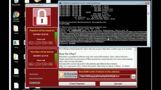 WanaKiwi WannaCry Ransomware Decryption Tool Vishnu AVA [upl. by Lletniuq]