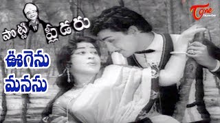 Potti Pleader Songs  Oogenu Manasu  Geethanjali  Sobhan Babu  OldSongsTelugu [upl. by Wyly]