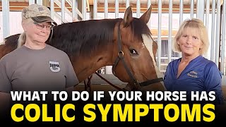 How to Recognize  Help Your Horse Colic  Essential Tips for Horse Owners  Holistic Horseworks [upl. by Eenwahs441]