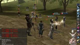 Lineage II C4 Gameplay Video [upl. by Ojiram967]