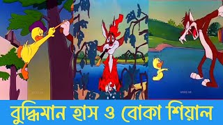 হাস ধরতে নাজেহাল শিয়াল। duck x fox। bangla funny video। sm comedy group 24 [upl. by Yendis663]