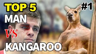 Kangaroo Fights Man  Kangaroo vs Human  Kangaroo Fight  Kangaru 😃 [upl. by Shargel]