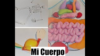 Experimentos de ciencias para niños sobre el cuerpo humano órganos músculos y huesos [upl. by Googins884]